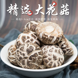 精选大花菇