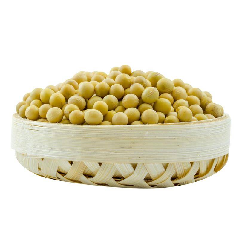 【大豆】 商南县青悠园黄豆10斤/箱 五谷杂粮打豆浆食堂批发